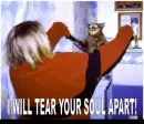 evil cat