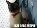 i see dead ppl