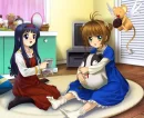 Sakura Card captors
