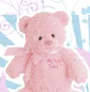 Teddy Bear