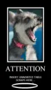 The Strange Dog 