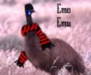 emo emu