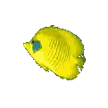 Green Fish Swimming