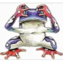 see no evil frog