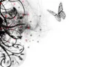 white with butterfly