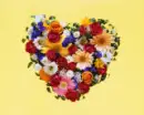 heart shaped flowers