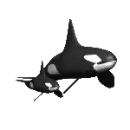 Whale and baby