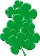 clovers