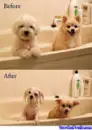 before bath and after bath