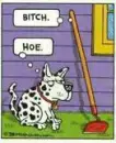 dog fighting with a hoe