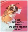 dog saying he done the math no cat in budget