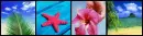 Summer Background