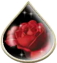 red rose