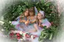 three baby fairys in flowers