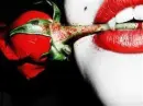 BITE YOU