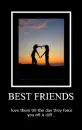 Best Friends 