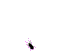 Thingy