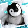 aw