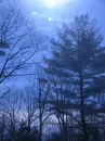 Twilight