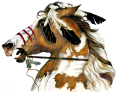 war pony-1