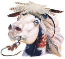 war pony-3