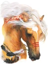 war pony-4
