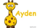 ayden