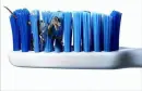 toothbrush dinasaur 