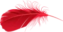 red feather