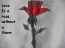 Love and a Rose