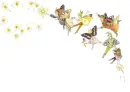 Fairy Line