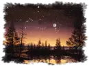 naturaleza