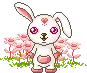 kawaii usagi :3 