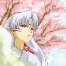 Sakura Season