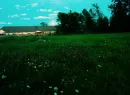 the sun