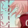 sakura