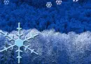 snowflakes