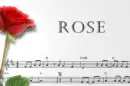rose