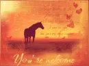 welcome