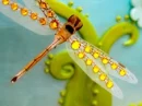 dragon fly