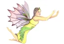 fairy