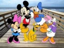 minnie & mickey