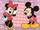 minnie & mickey