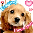 Darling I Love you