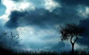 a light in the darkness
