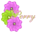 Perry