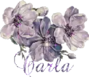Carla
