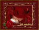 red passion