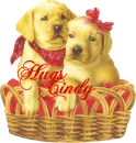 Hugs Cindy