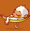 monkey